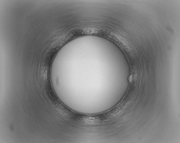 X0000116430315200912221510