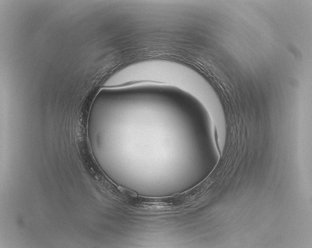 X0000116430316200912221510