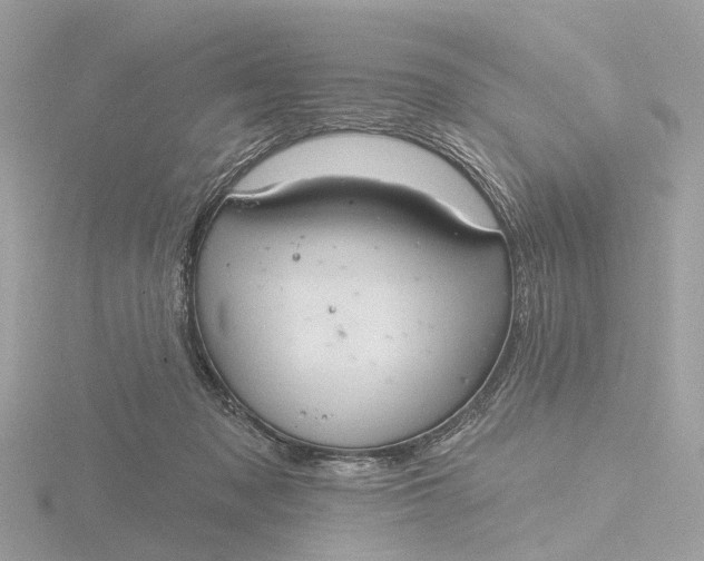 X0000116430317200912221510