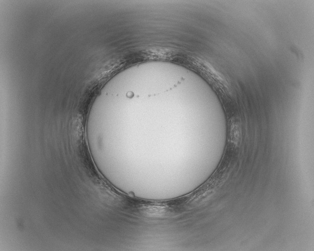 X0000116430318200912221510