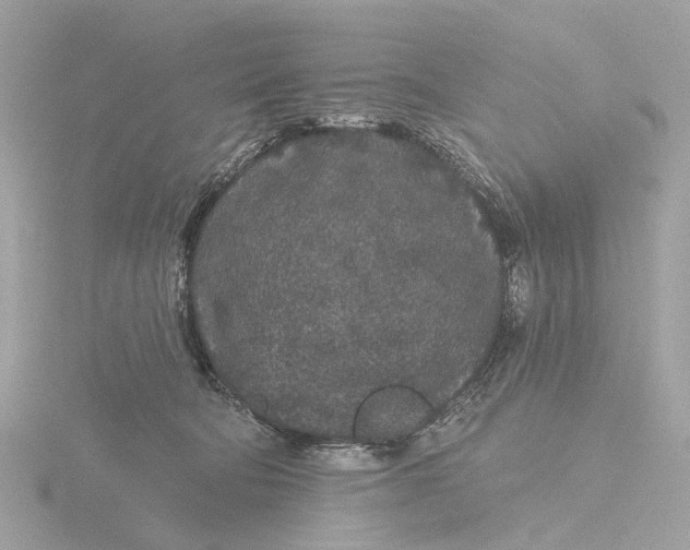 X0000116430322200912221510