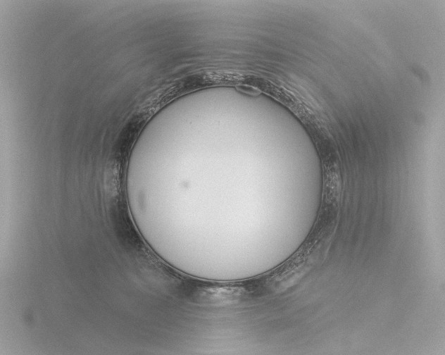 X0000116430323200912221510