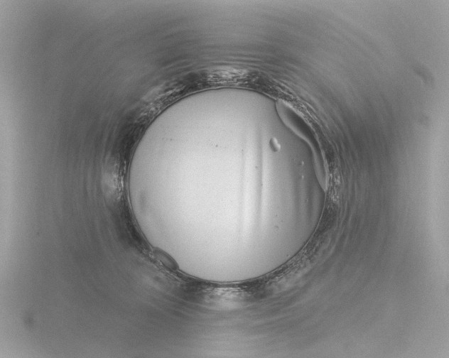 X0000116430324200912221510