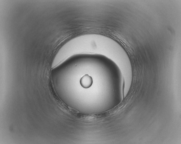 X0000116430325200912221510