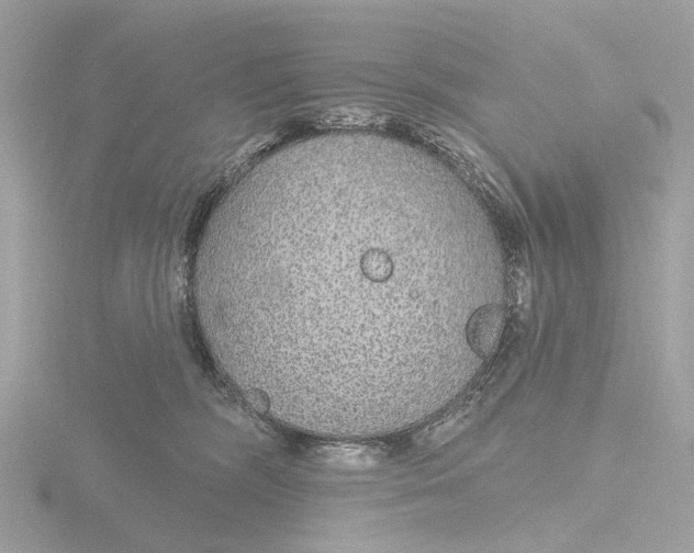 X0000116430326200912221510