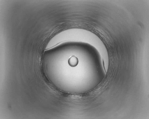 X0000116430327200912221510