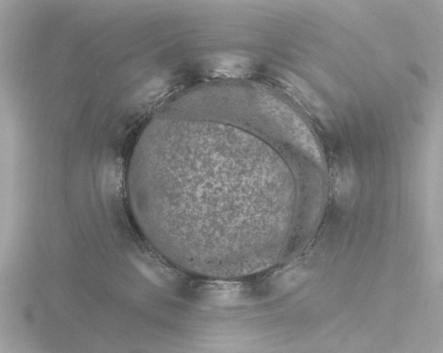 X0000116430328200912221510