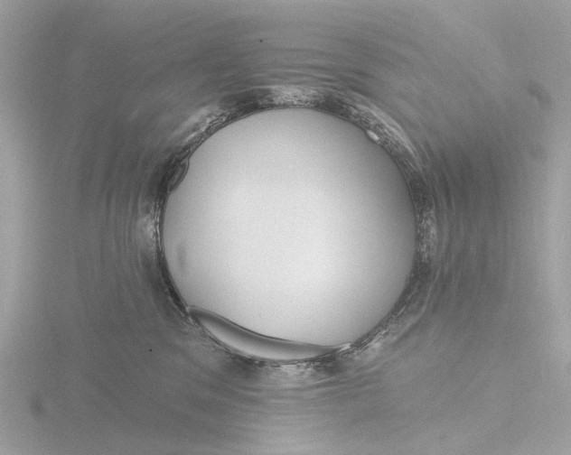 X0000116430329200912221510