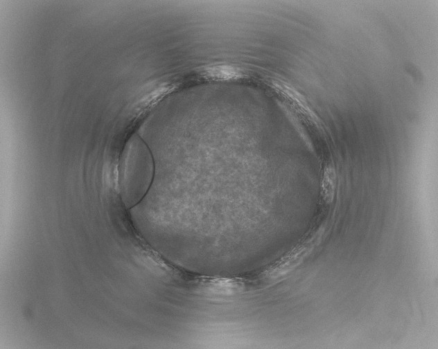 X0000116430330200912221510