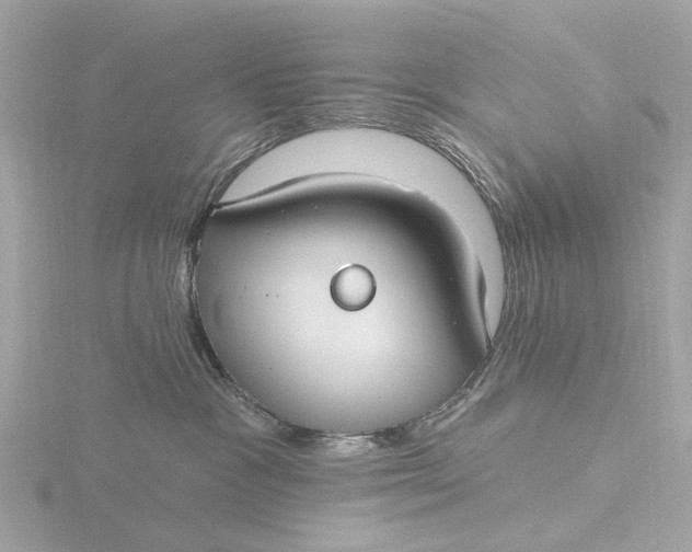 X0000116430333200912221510