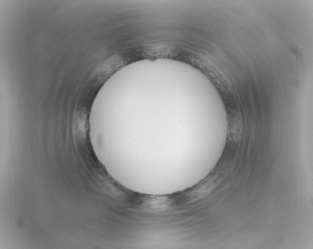 X0000116430334200912221510