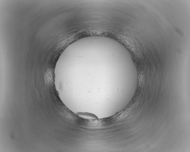 X0000116430335200912221510