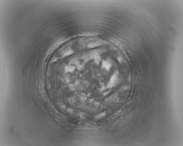 X0000116430337200912221509