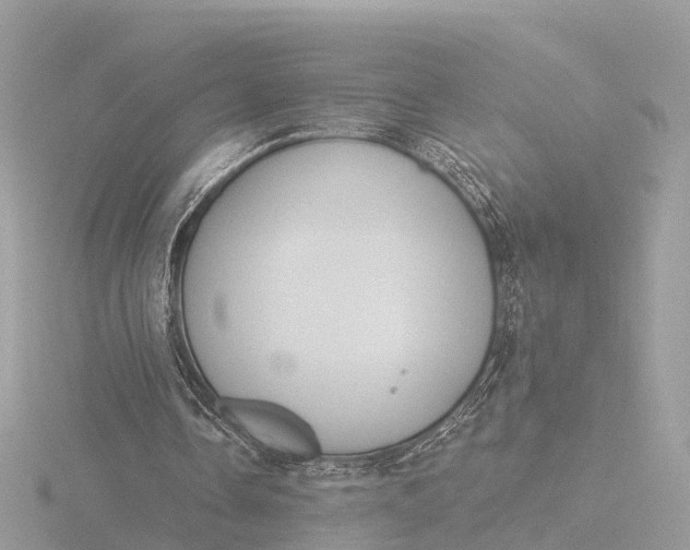 X0000116430338200912221509