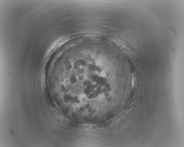 X0000116430339200912221509