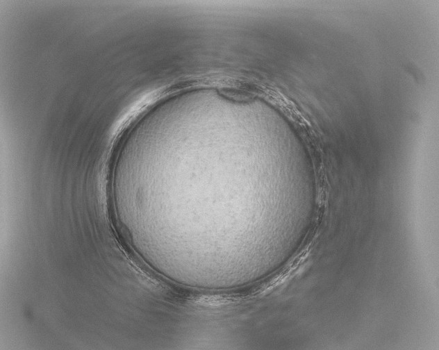 X0000116430341200912221509