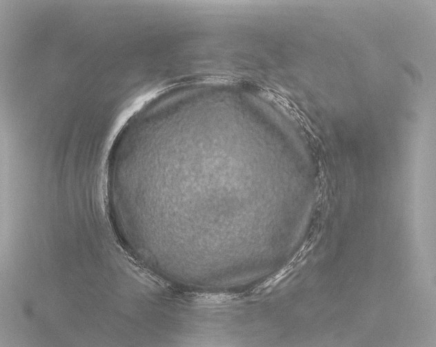 X0000116430342200912221509