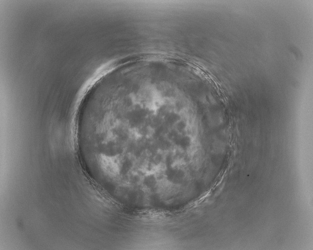 X0000116430343200912221509