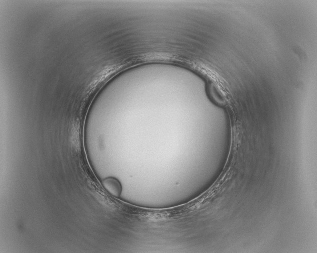 X0000116430345200912221509