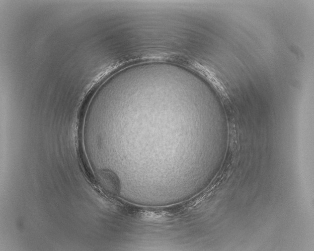 X0000116430346200912221509