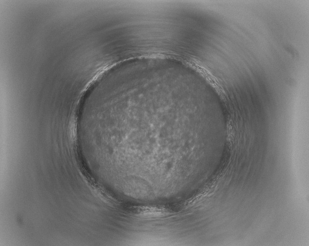 X0000116430347200912221509