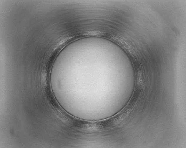 X0000116430351200912221509