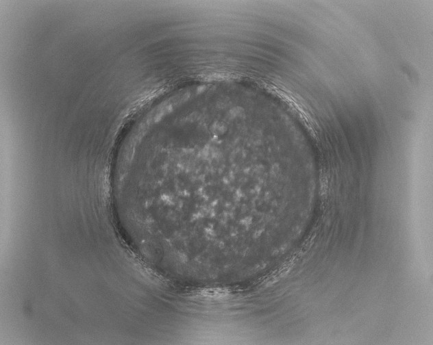 X0000116430353200912221509