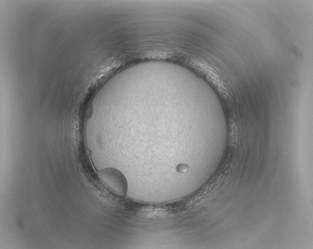 X0000116430354200912221509