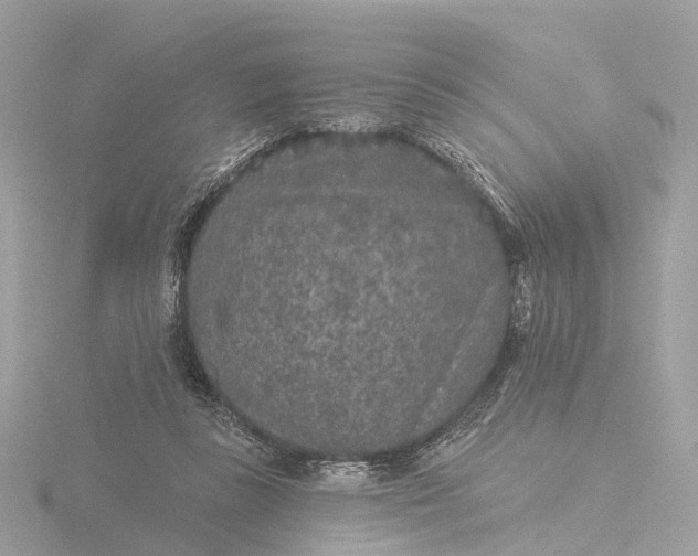 X0000116430355200912221509