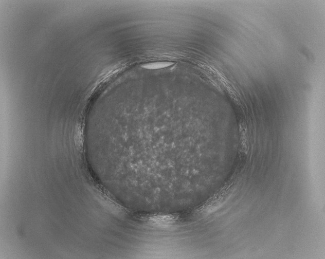 X0000116430357200912221509