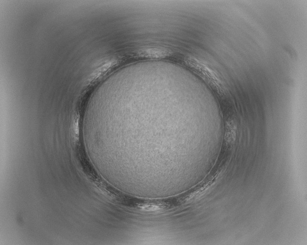 X0000116430358200912221509