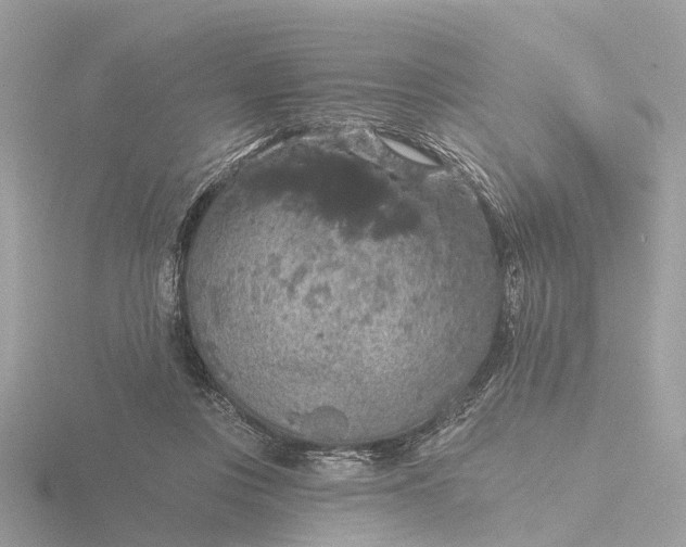 X0000116430359200912221509