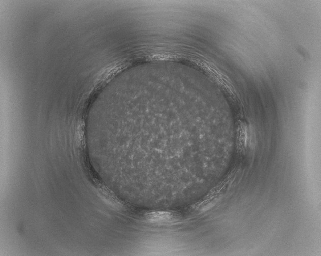 X0000116430361200912221509