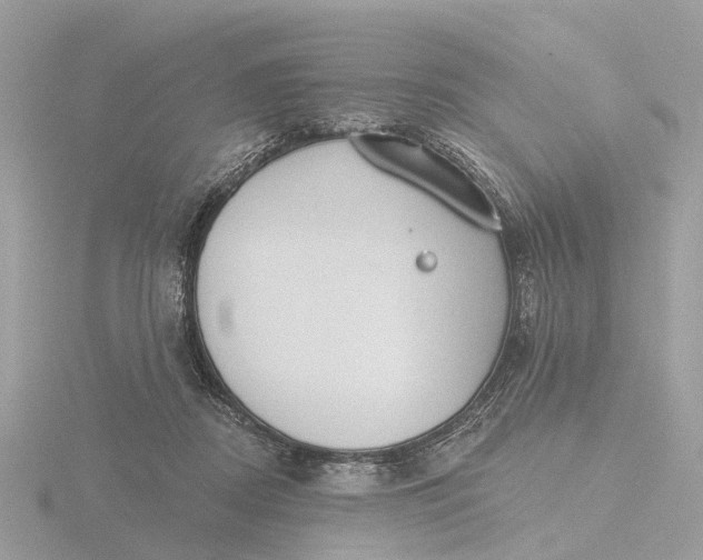 X0000116430362200912221509