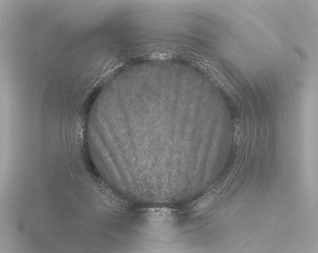 X0000116430363200912221509