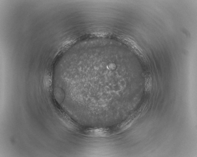 X0000116430365200912221509