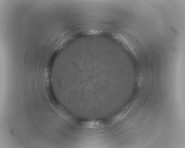 X0000116430366200912221509