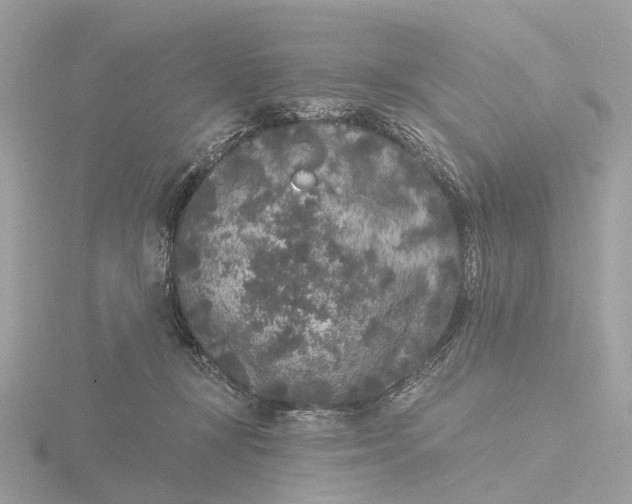 X0000116430367200912221509