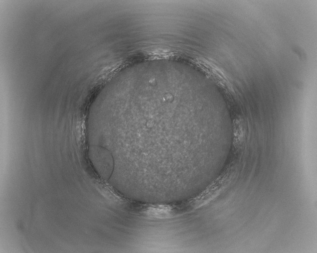 X0000116430369200912221509