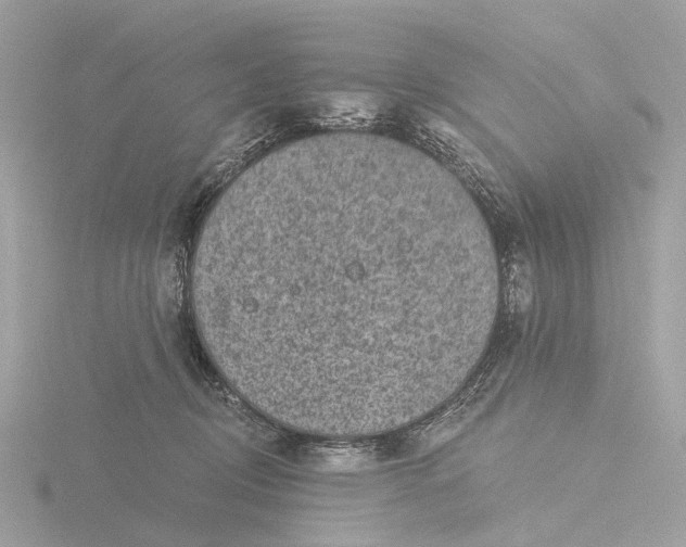 X0000116430370200912221509