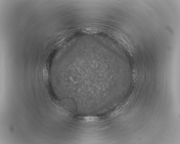 X0000116430371200912221509