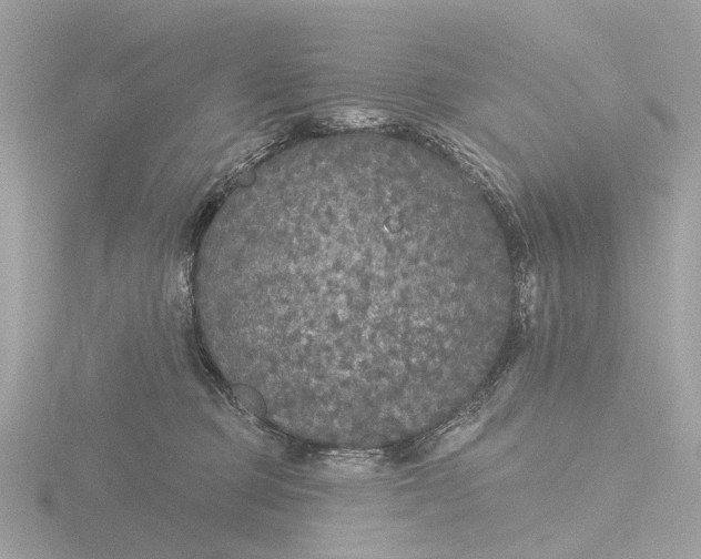 X0000116430373200912221509