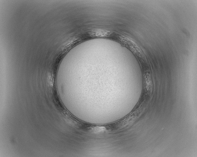 X0000116430374200912221509