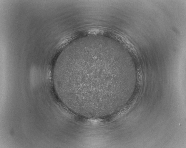 X0000116430375200912221510