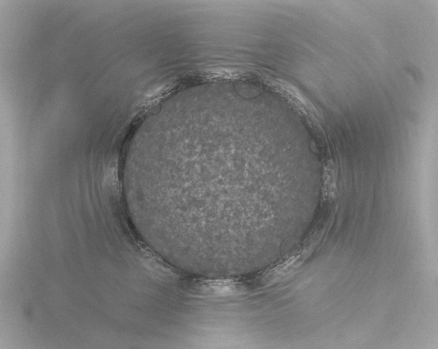 X0000116430377200912221510