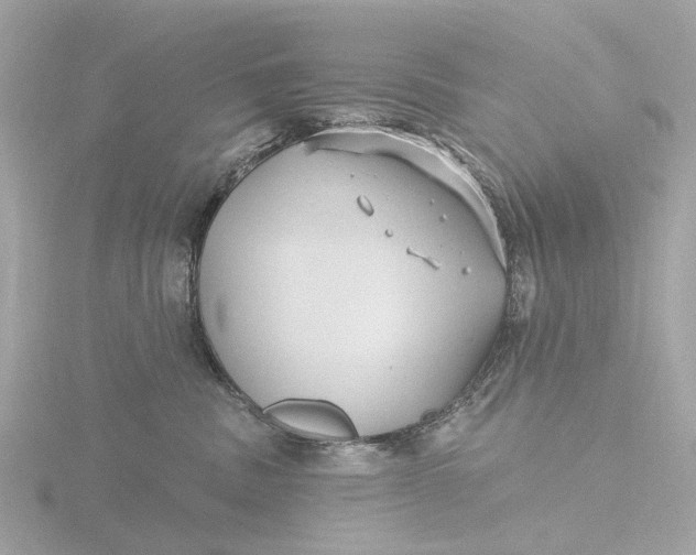 X0000116430379200912221510