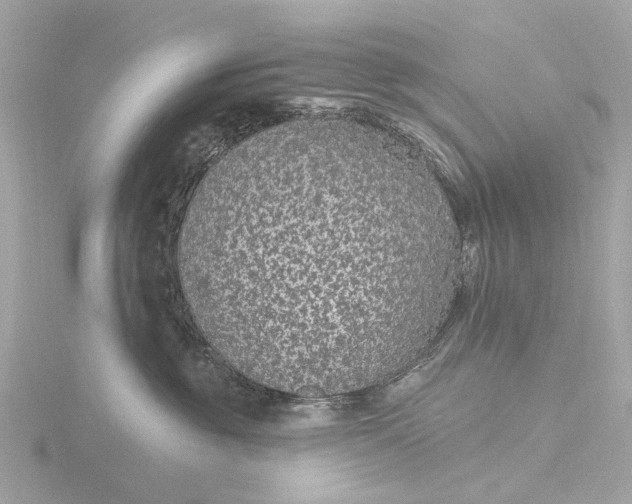 X0000116430381200912221510