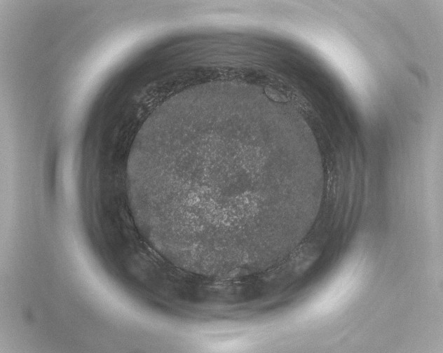 X0000116430383200912221510