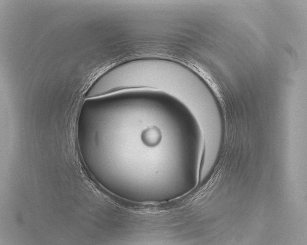 X0000116430385200912221509