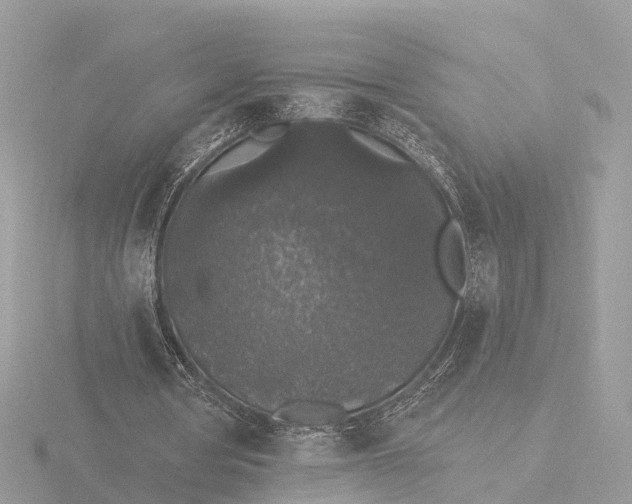 X0000116430386200912221509